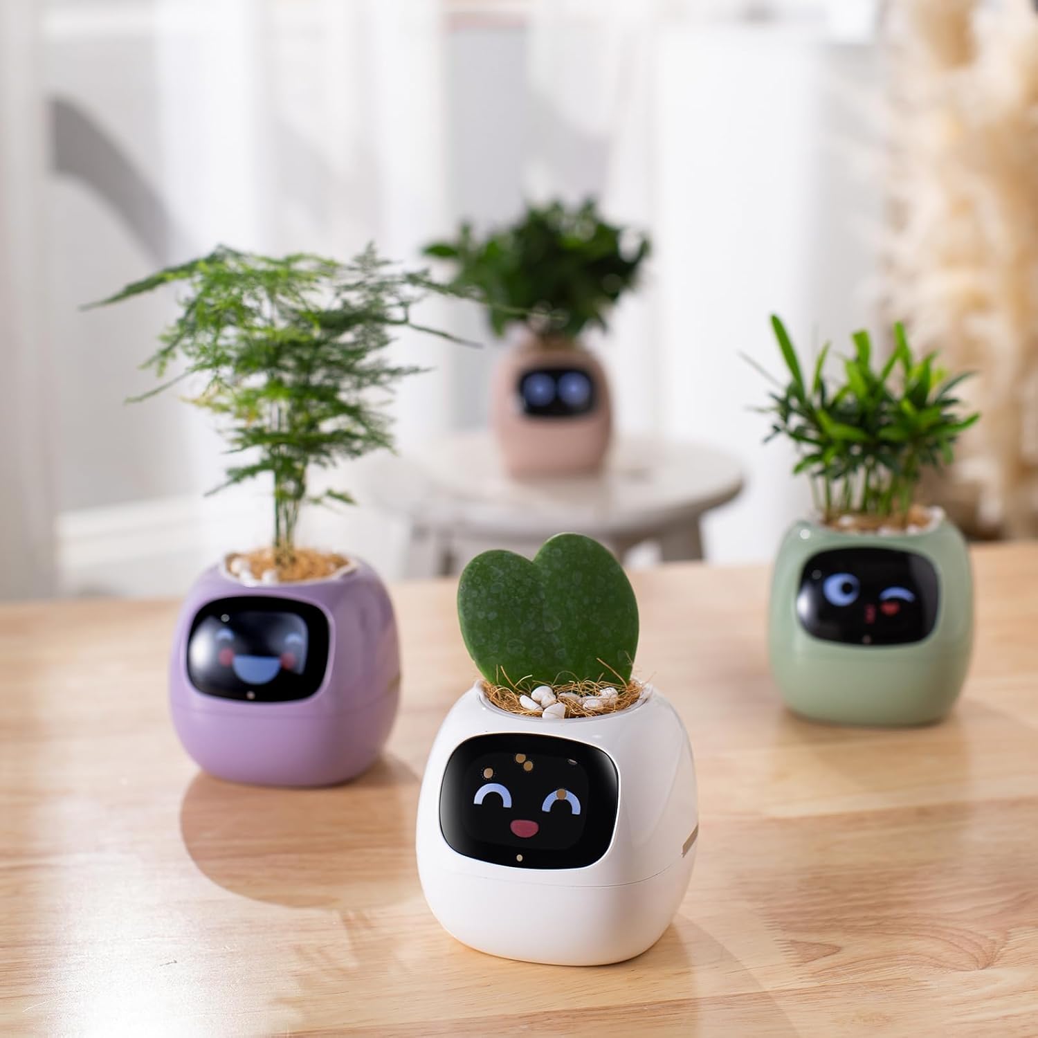 Smart pet Plant Robot Guidance on Plant Care with Emojis
