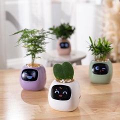 Smart pet Plant Robot Guidance on Plant Care with Emojis